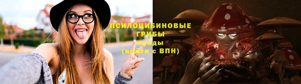 Альфа ПВП Шарыпово