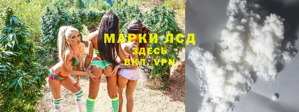 спайс Корсаков