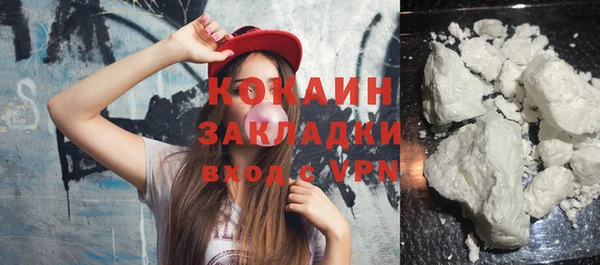 спайс Корсаков