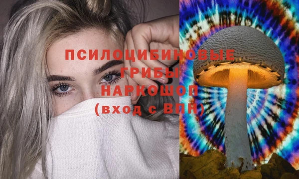 спайс Корсаков