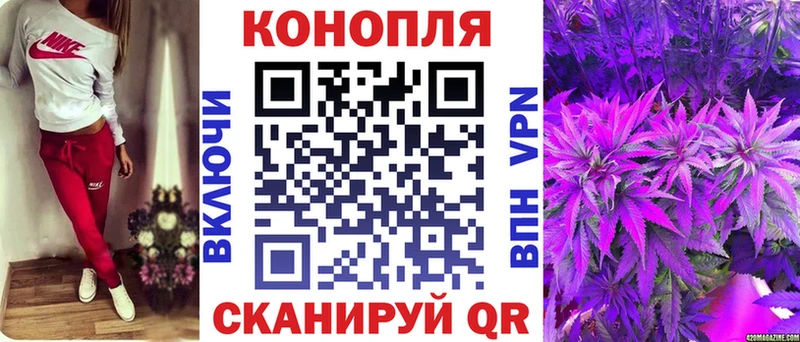 darknet наркотические препараты  Малмыж  Бошки марихуана OG Kush 